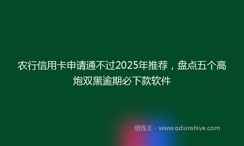 农行信用卡申请通不过2025年推荐，盘点五个高炮双黑逾期必下款软件