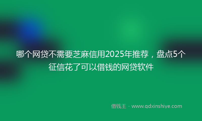 哪个网贷不需要芝麻信用2025年推荐，盘点5个征信花了可以借钱的网贷软件
