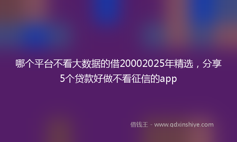 哪个平台不看大数据的借20002025年精选，分享5个贷款好做不看征信的app