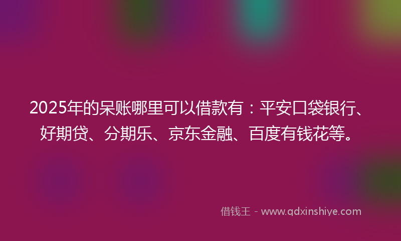 2025年的呆账哪里可以借款有：平安口袋银行、好期贷、分期乐、京东金融、百度有钱花等。