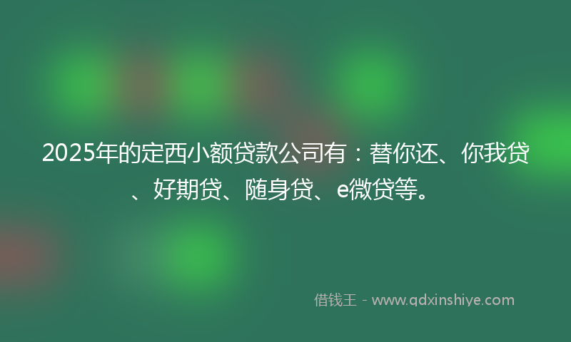 2025年的定西小额贷款公司有：替你还、你我贷、好期贷、随身贷、e微贷等。