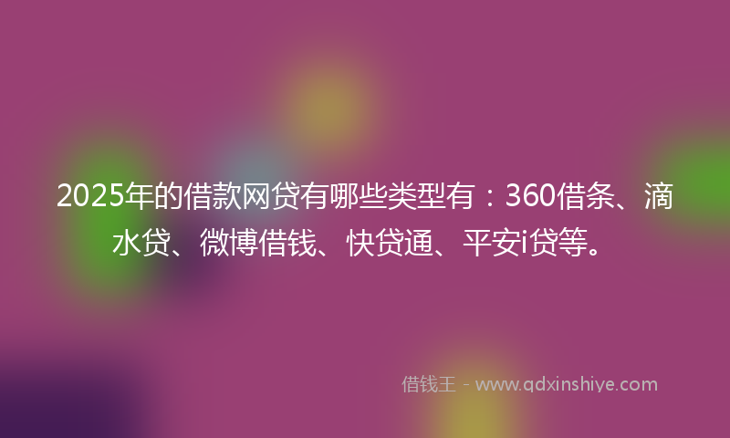 2025年的借款网贷有哪些类型有：360借条、滴水贷、微博借钱、快贷通、平安i贷等。