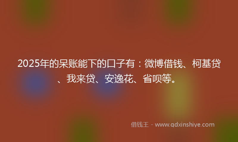 2025年的呆账能下的口子有：微博借钱、柯基贷、我来贷、安逸花、省呗等。