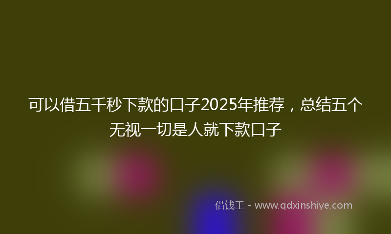可以借五千秒下款的口子2025年推荐，总结五个无视一切是人就下款口子