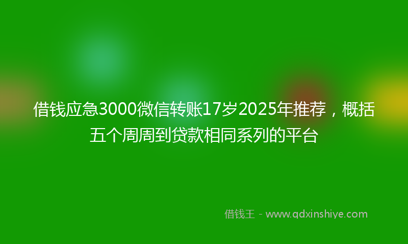 借钱应急3000微信转账17岁2025年推荐，概括五个周周到贷款相同系列的平台