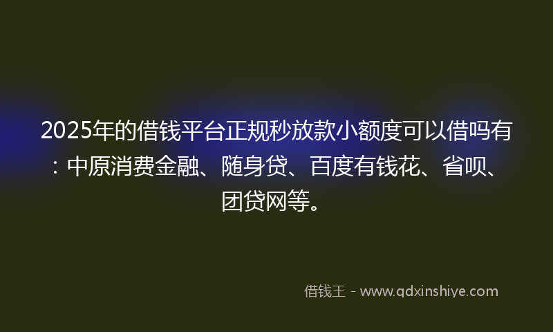 2025年的借钱平台正规秒放款小额度可以借吗有：中原消费金融、随身贷、百度有钱花、省呗、团贷网等。