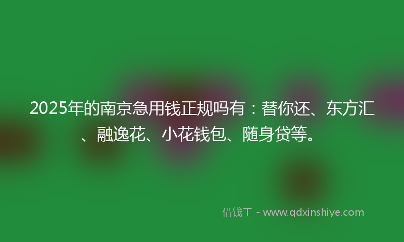 2025年的南京急用钱正规吗有：替你还、东方汇、融逸花、小花钱包、随身贷等。