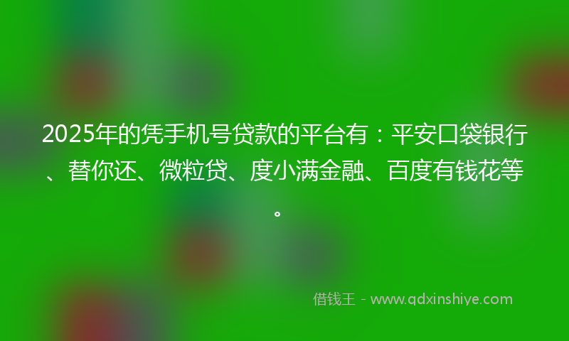 2025年的凭手机号贷款的平台有：平安口袋银行、替你还、微粒贷、度小满金融、百度有钱花等。