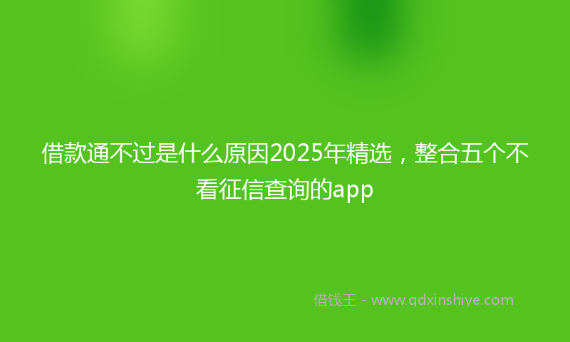借款通不过是什么原因2025年精选，整合五个不看征信查询的app