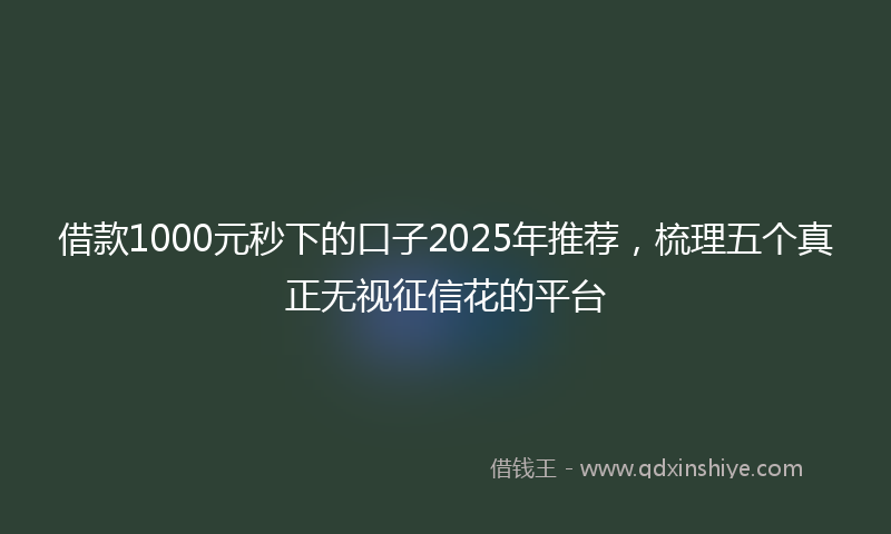 借款1000元秒下的口子2025年推荐，梳理五个真正无视征信花的平台