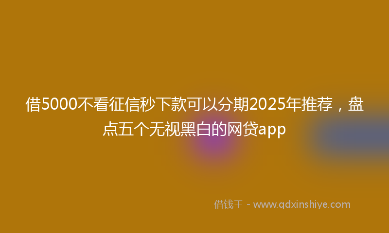 借5000不看征信秒下款可以分期2025年推荐，盘点五个无视黑白的网贷app