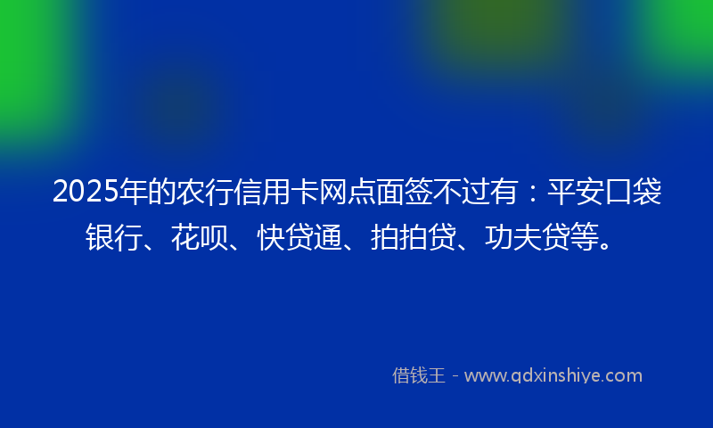 2025年的农行信用卡网点面签不过有：平安口袋银行、花呗、快贷通、拍拍贷、功夫贷等。