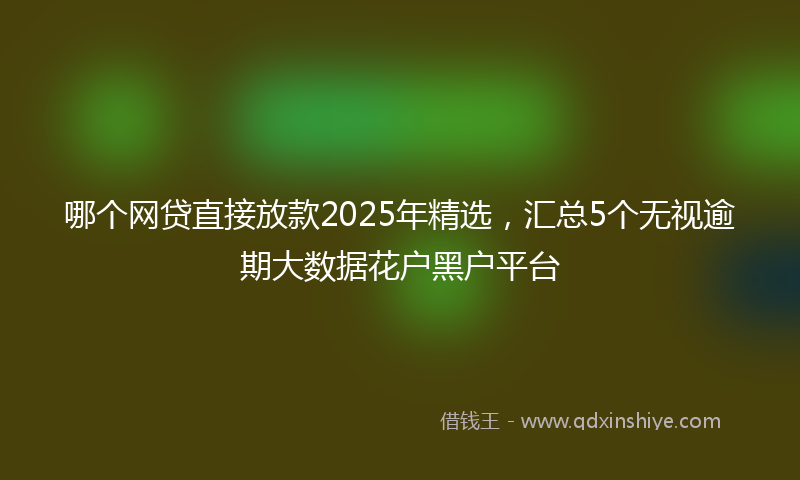哪个网贷直接放款2025年精选，汇总5个无视逾期大数据花户黑户平台