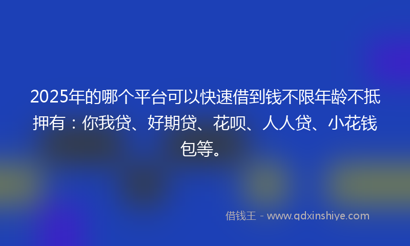 2025年的哪个平台可以快速借到钱不限年龄不抵押有：你我贷、好期贷、花呗、人人贷、小花钱包等。