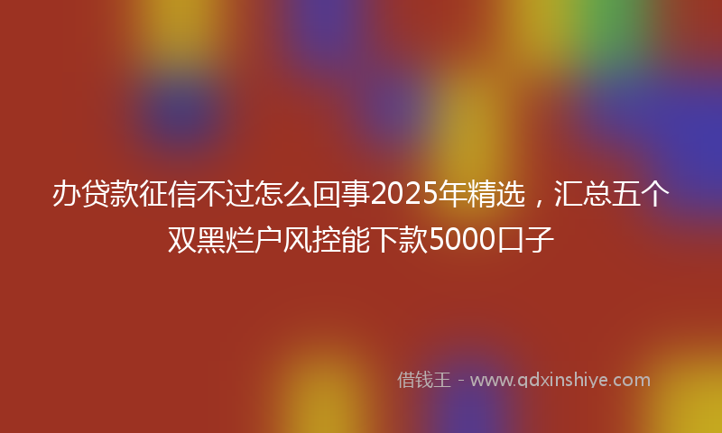 办贷款征信不过怎么回事2025年精选，汇总五个双黑烂户风控能下款5000口子