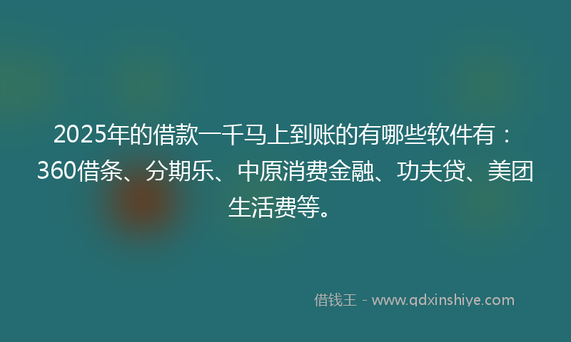 2025年的借款一千马上到账的有哪些软件有：360借条、分期乐、中原消费金融、功夫贷、美团生活费等。
