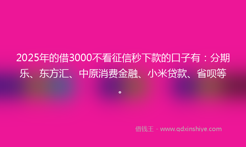 2025年的借3000不看征信秒下款的口子有：分期乐、东方汇、中原消费金融、小米贷款、省呗等。
