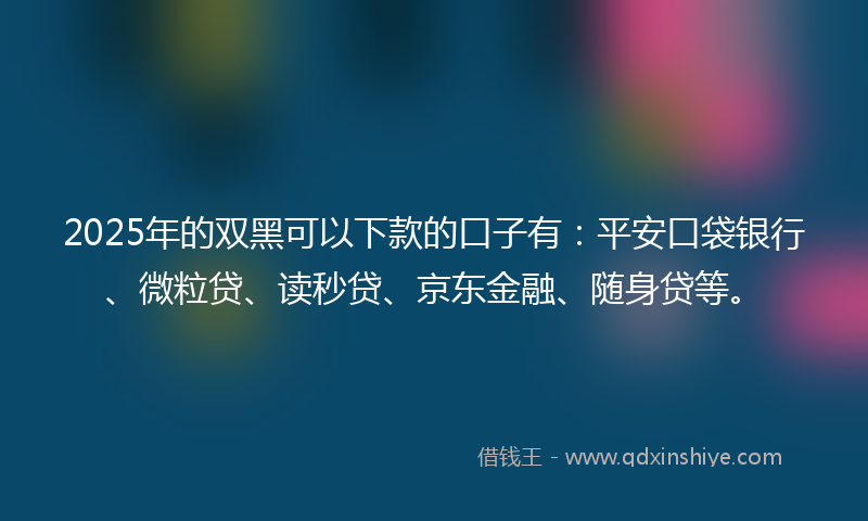 2025年的双黑可以下款的口子有：平安口袋银行、微粒贷、读秒贷、京东金融、随身贷等。