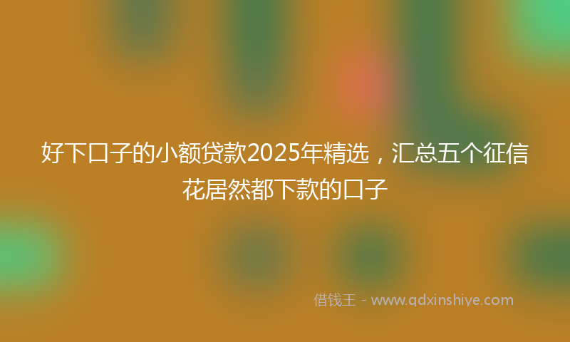 好下口子的小额贷款2025年精选，汇总五个征信花居然都下款的口子