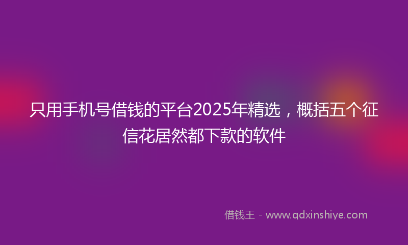 只用手机号借钱的平台2025年精选，概括五个征信花居然都下款的软件