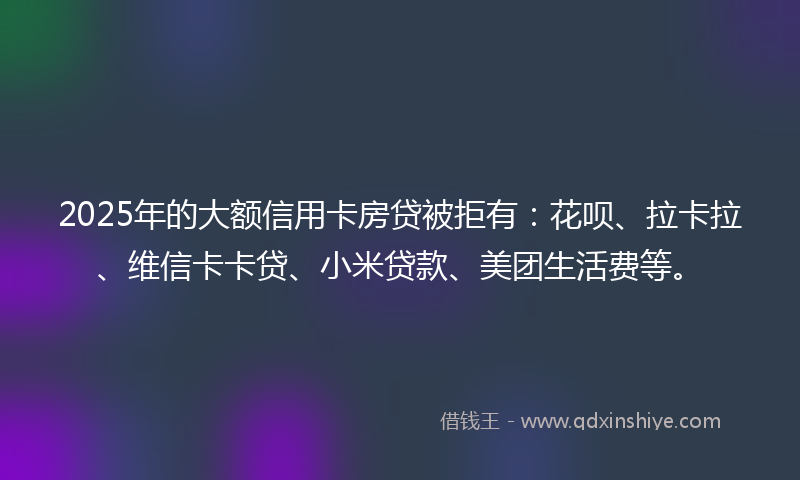 2025年的大额信用卡房贷被拒有：花呗、拉卡拉、维信卡卡贷、小米贷款、美团生活费等。