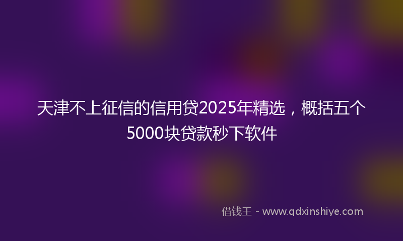 天津不上征信的信用贷2025年精选，概括五个5000块贷款秒下软件