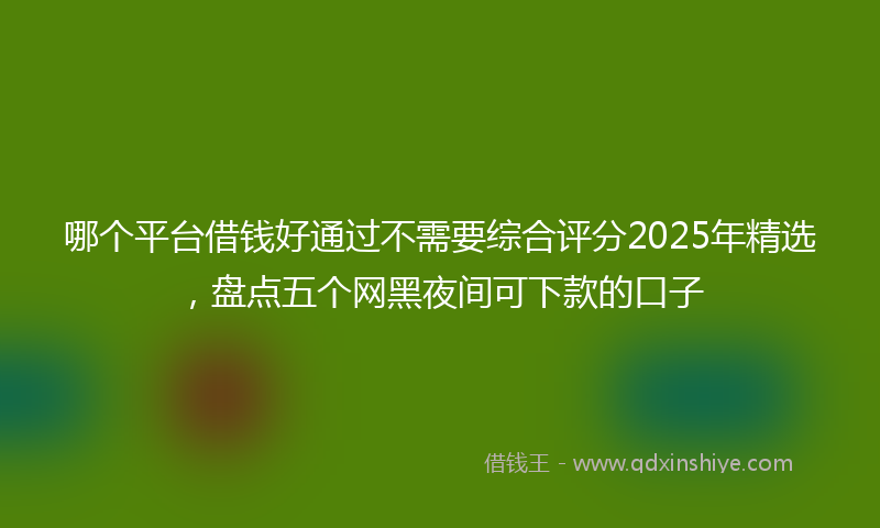 哪个平台借钱好通过不需要综合评分2025年精选，盘点五个网黑夜间可下款的口子