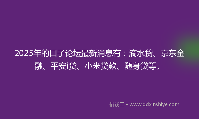 2025年的口子论坛最新消息有：滴水贷、京东金融、平安i贷、小米贷款、随身贷等。