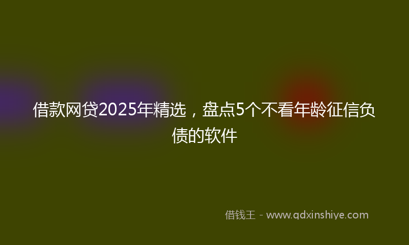借款网贷2025年精选，盘点5个不看年龄征信负债的软件