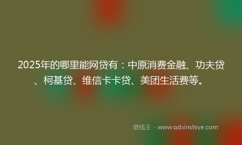 2025年的哪里能网贷有：中原消费金融、功夫贷、柯基贷、维信卡卡贷、美团生活费等。