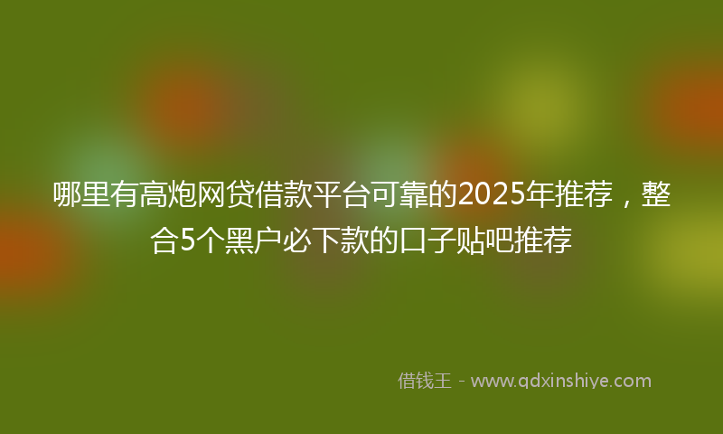 哪里有高炮网贷借款平台可靠的2025年推荐，整合5个黑户必下款的口子贴吧推荐