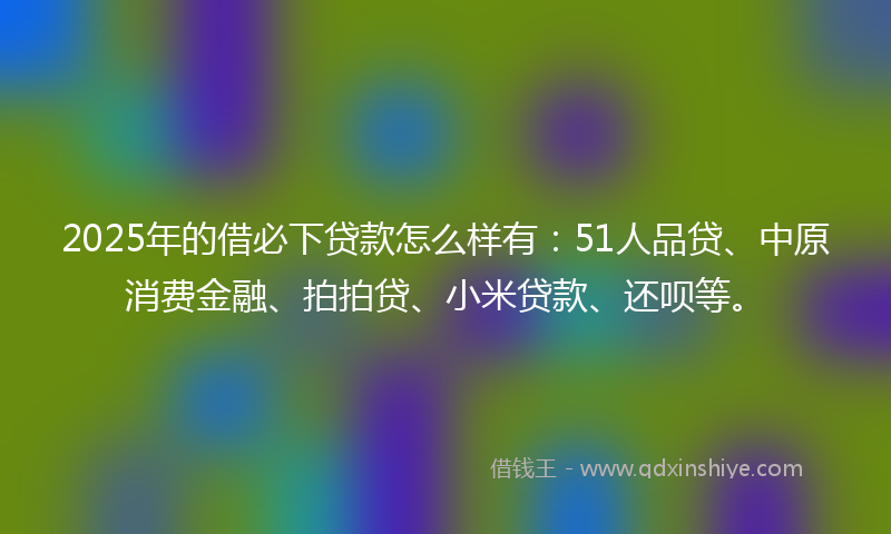 2025年的借必下贷款怎么样有：51人品贷、中原消费金融、拍拍贷、小米贷款、还呗等。