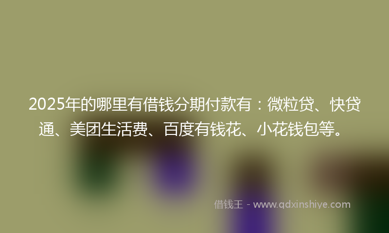 2025年的哪里有借钱分期付款有：微粒贷、快贷通、美团生活费、百度有钱花、小花钱包等。