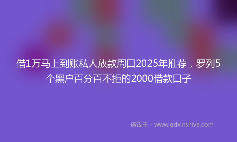 借1万马上到账私人放款周口2025年推荐，罗列5个黑户百分百不拒的2000借款口子
