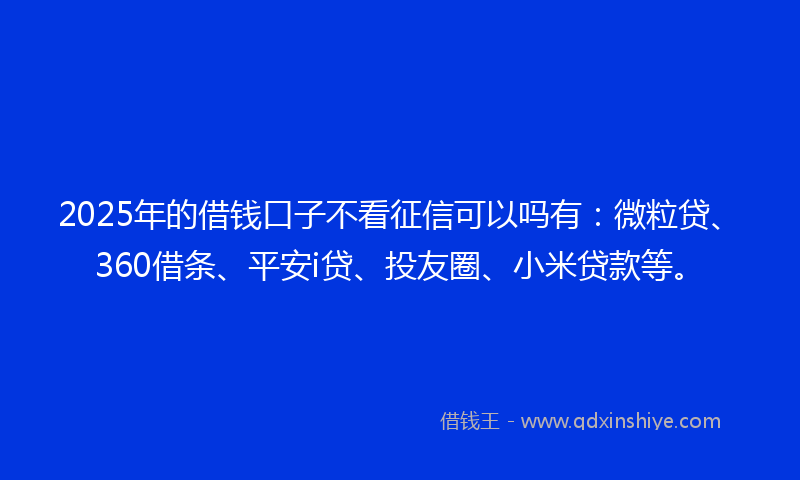 2025年的借钱口子不看征信可以吗有:微粒贷、360借条、平安i贷、投友圈、小米贷款等。