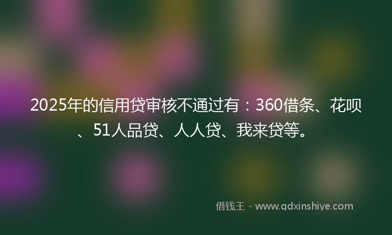 2025年的信用贷审核不通过有：360借条、花呗、51人品贷、人人贷、我来贷等。
