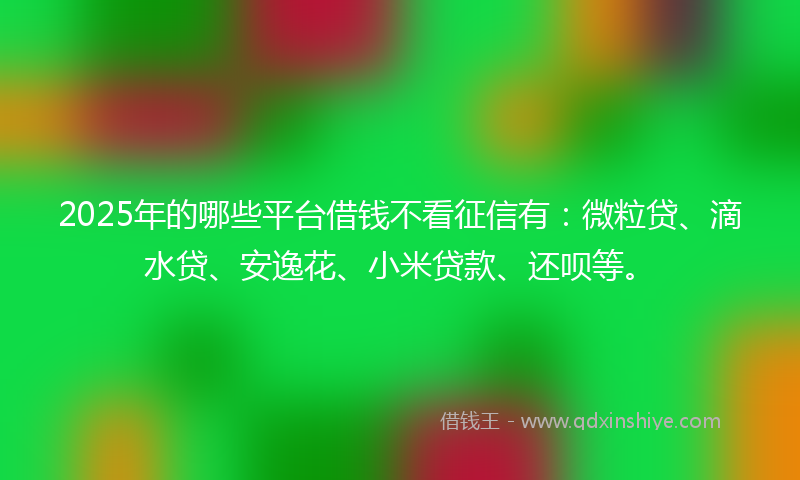 2025年的哪些平台借钱不看征信有：微粒贷、滴水贷、安逸花、小米贷款、还呗等。