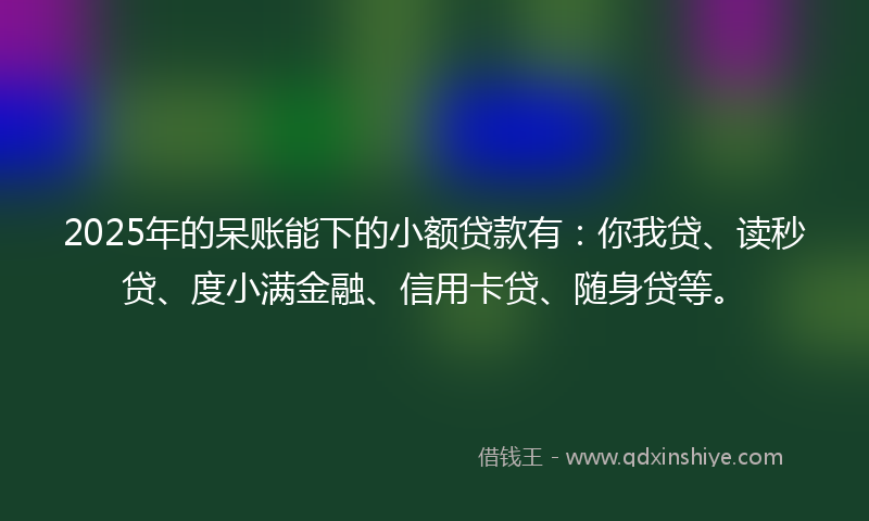 2025年的呆账能下的小额贷款有：你我贷、读秒贷、度小满金融、信用卡贷、随身贷等。