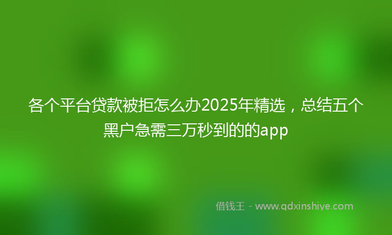 各个平台贷款被拒怎么办2025年精选，总结五个黑户急需三万秒到的的app