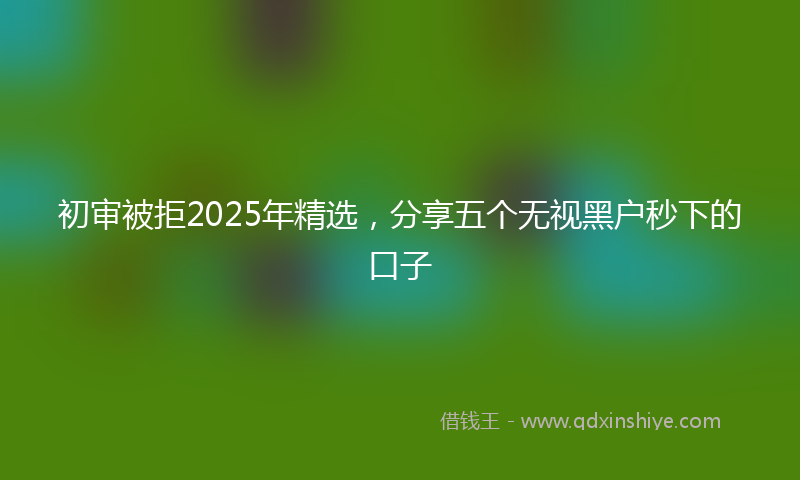 初审被拒2025年精选，分享五个无视黑户秒下的口子