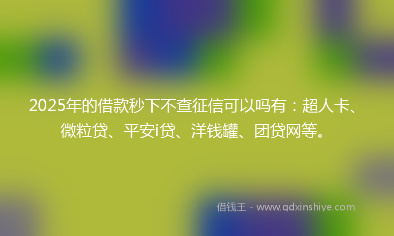 2025年的借款秒下不查征信可以吗有：超人卡、微粒贷、平安i贷、洋钱罐、团贷网等。