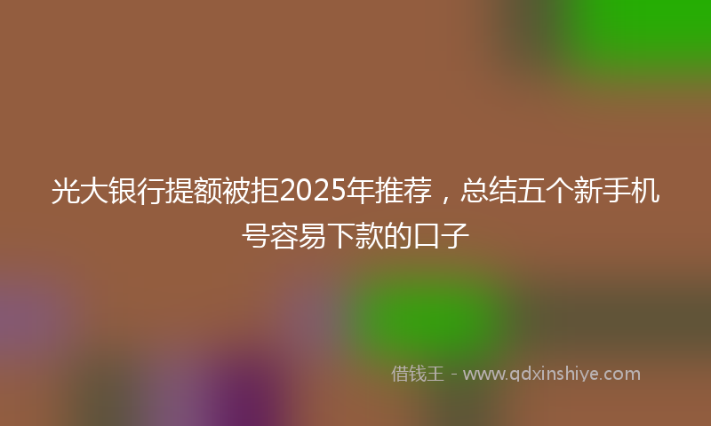 光大银行提额被拒2025年推荐，总结五个新手机号容易下款的口子