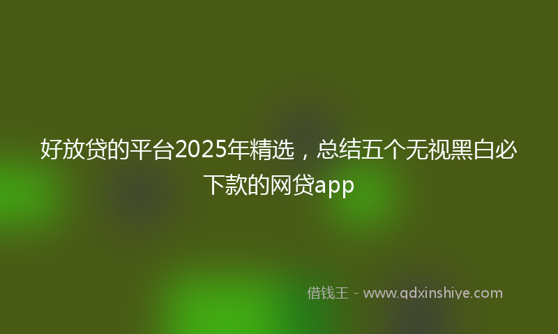 好放贷的平台2025年精选，总结五个无视黑白必下款的网贷app