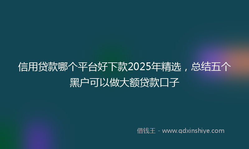 信用贷款哪个平台好下款2025年精选，总结五个黑户可以做大额贷款口子