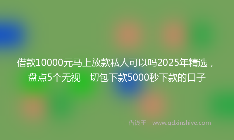 借款10000元马上放款私人可以吗2025年精选，盘点5个无视一切包下款5000秒下款的口子