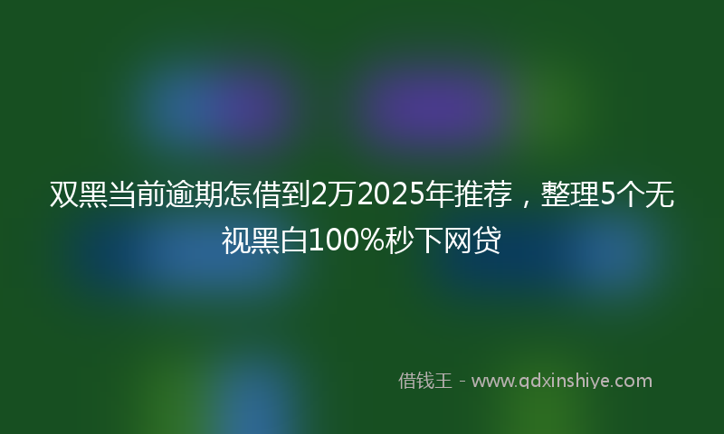 双黑当前逾期怎借到2万2025年推荐，整理5个无视黑白100%秒下网贷
