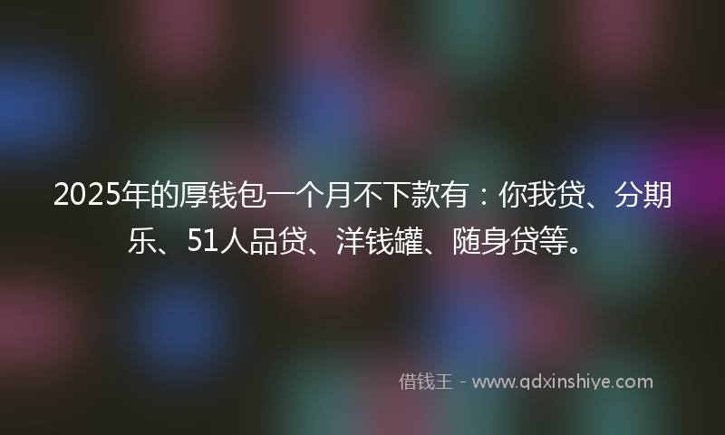 2025年的厚钱包一个月不下款有：你我贷、分期乐、51人品贷、洋钱罐、随身贷等。