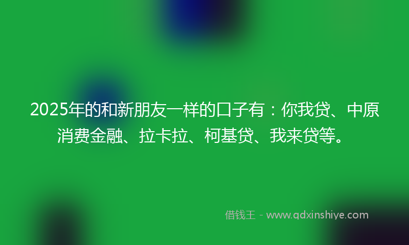 2025年的和新朋友一样的口子有：你我贷、中原消费金融、拉卡拉、柯基贷、我来贷等。
