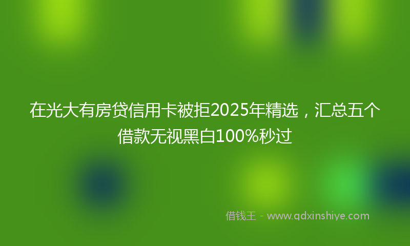 在光大有房贷信用卡被拒2025年精选，汇总五个借款无视黑白100%秒过