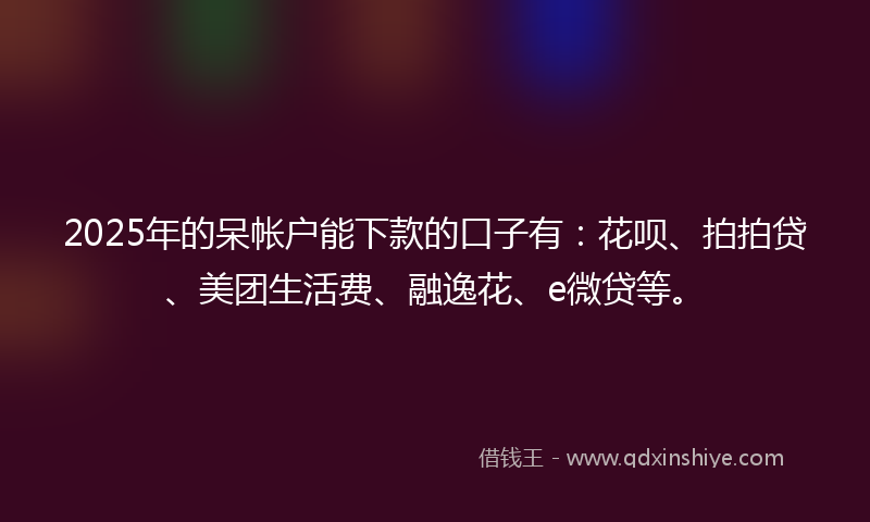2025年的呆帐户能下款的口子有：花呗、拍拍贷、美团生活费、融逸花、e微贷等。